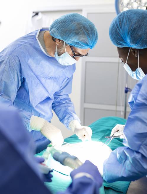 <strong>Especialista en Cirugía</strong> para <strong>pérdida de peso</strong> en <strong>Estado de México</strong>